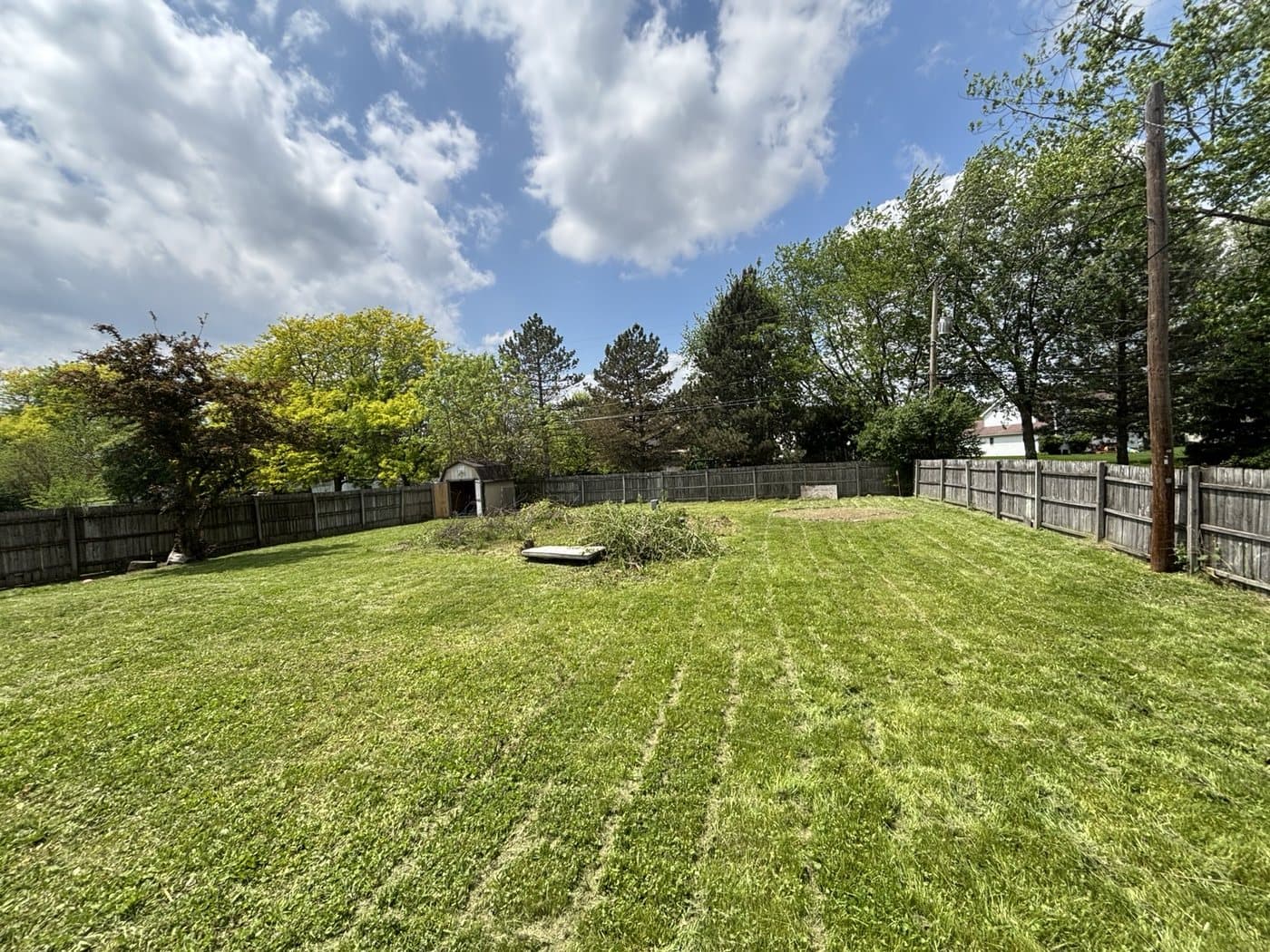 Backyard after Clean Edge cleanup and mowing