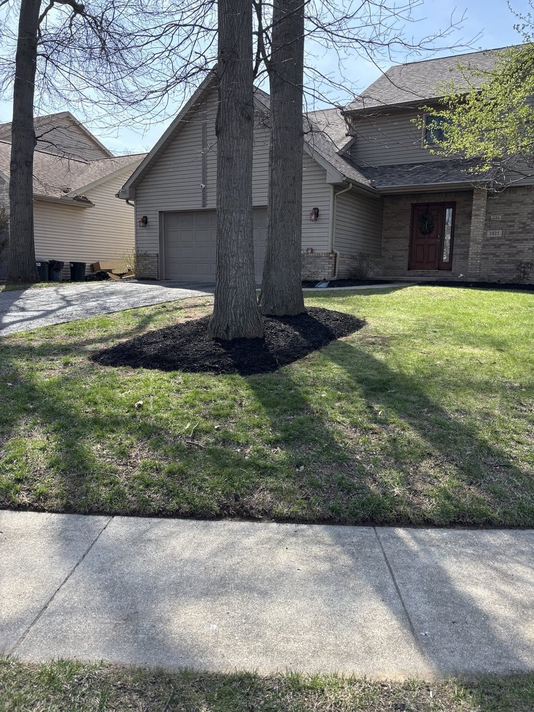 Fresh mulch installed around mature trees