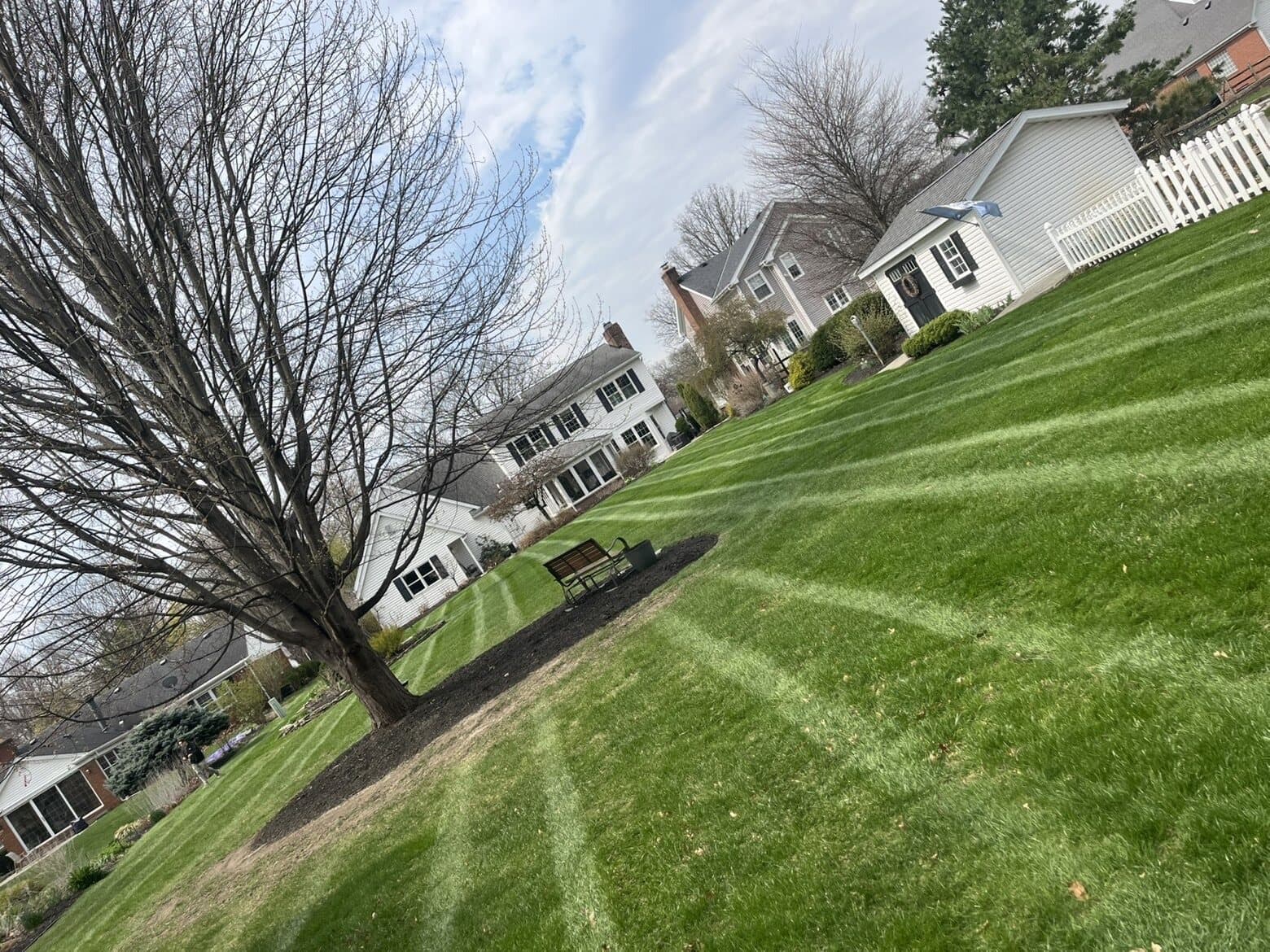 Clean Edge striped residential lawn around mature trees