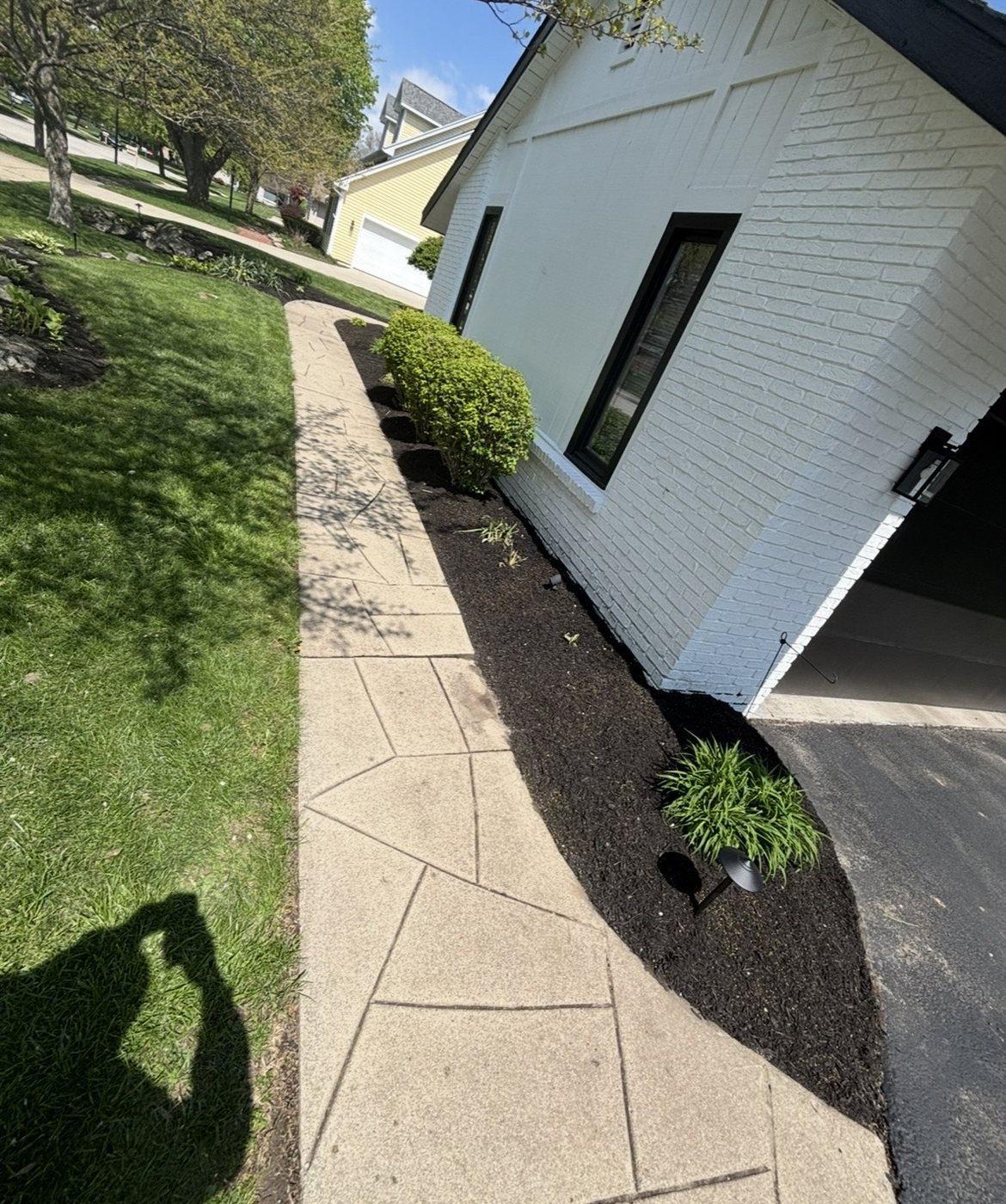 Finished mulch installation along a walkway