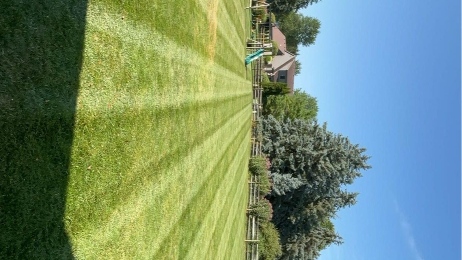 Striped lawn photo